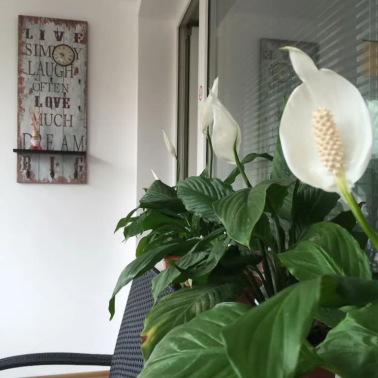 Guest House Aleksandra Sofia